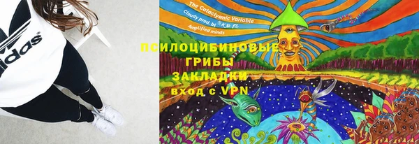 mdpv Арсеньев